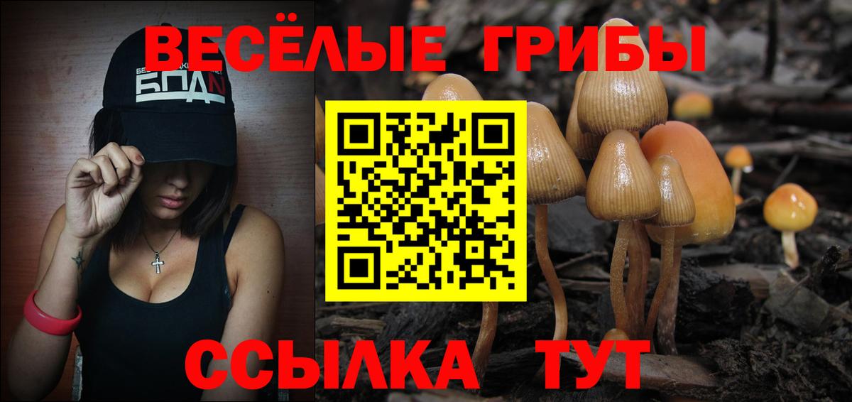Псилоцибиновые грибы мицелий Похвистнево